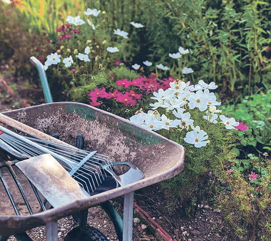 wheelbarrow_gardeners