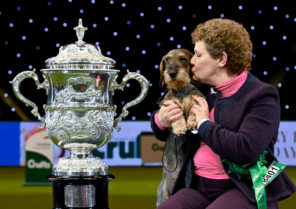 Tickets for hot sale crufts 2020